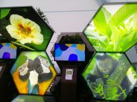 Biodiversität in Brasilien 