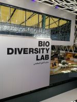 Campus Germany 