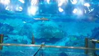 Dubai Mall - Rundreise Arabische Emirate