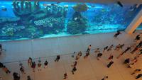 Dubai Mall - Rundreise Arabische Emirate