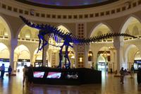 Dubai Mall