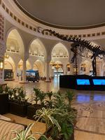 Dubai Mall