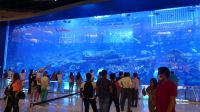 Dubai Mall