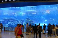 Dubai Mall