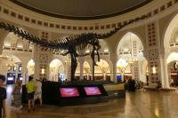 Dubai Mall