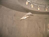 Dubai Museum