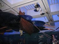 Dubai Museum