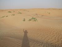 Dubai Wüstensafari 