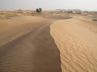 Dubai Wüstensafari 