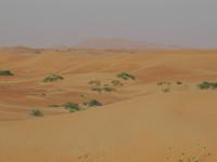 Dubai Wüstensafari 
