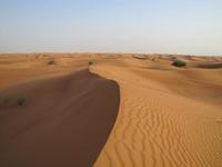 Dubai Wüstensafari 
