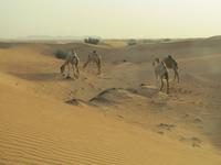 Dubai Wüstensafari 