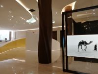 Etihad Museum 