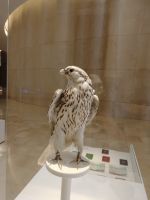 Etihad Museum 