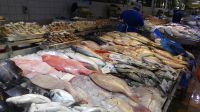 Fischmarkt im Hafen Abu Dhabi