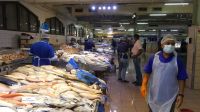Fischmarkt im Hafen Abu Dhabi