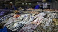 Fischmarkt im Hafen Abu Dhabi