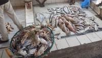 Fischmarkt