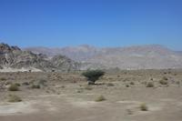 IMG_3542_Fotostopp im Hajar-Gebirge