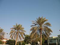 Jumeirah Strand und Park