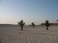 Jumeirah Strand und Park
