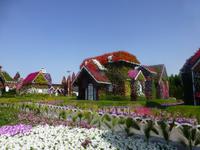 Miracle Garden Dubai