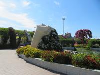 Miracle Garden