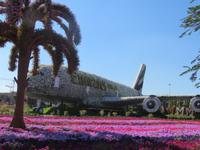 Miracle Garden