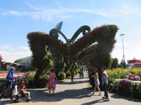Miracle Garden