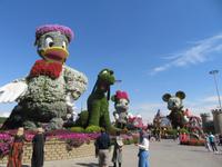 Miracle Garden