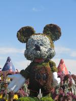 Miracle Garden