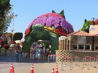 Miracle Garden