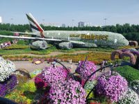 Miracle Garden