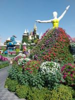 Miracle Garden