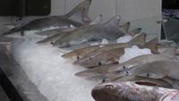 Sharjah, Souk al Jubail (Fisch-, Fleisch- u. Gemüsemarkt)