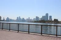 Skyline von Sharjah