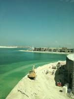 The Palm