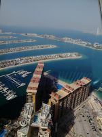 The View