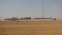 Training