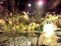 Unterwasser-Zoo