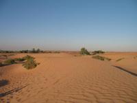 Wüstensafari Dubai