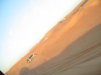 Wüstensafari Dubai
