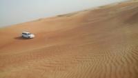 Wüstensafari mit Barbecue - Dubai - Rundreise Arabische Emirate