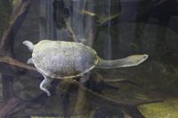 im Aquarium (11)