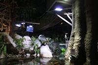 im Aquarium (6)