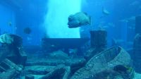 im Atlantis Hotel