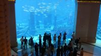 im Atlantis Hotel