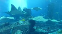 im Atlantis Hotel