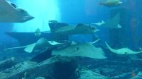 im Atlantis Hotel