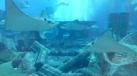 im Atlantis Hotel